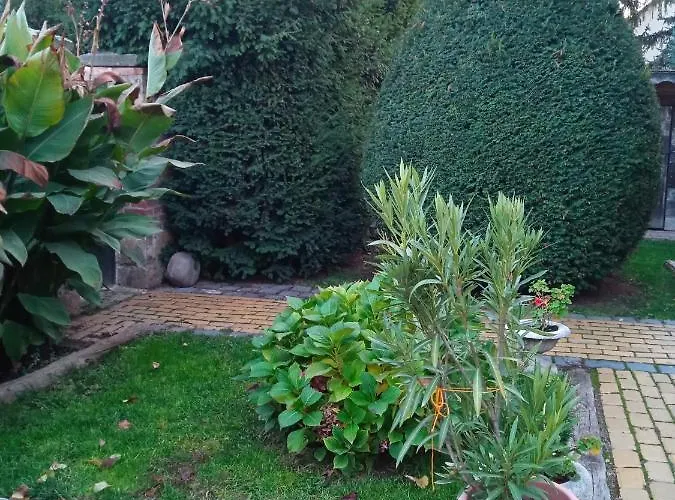 Veranda Vendeghaz Holiday home *